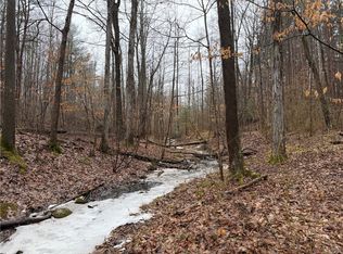 Lakemont Himrod Rd Lot 58, Dundee, NY 14837
