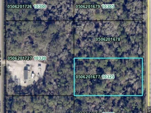 10325 NIKOLICH Avenue, Hastings, FL 32145