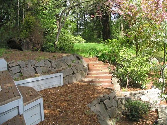 back yard