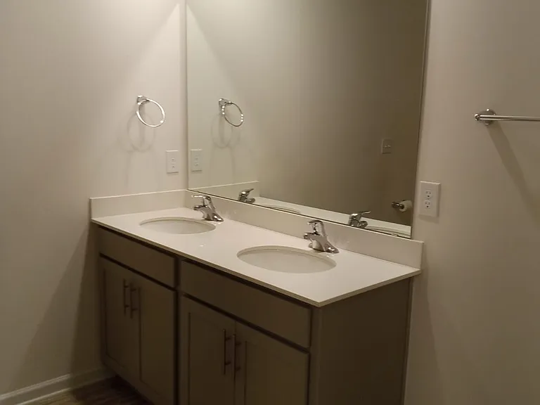 Owner's suite bathroom double vanity