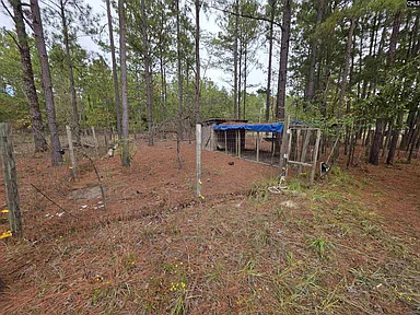 Property photo 39