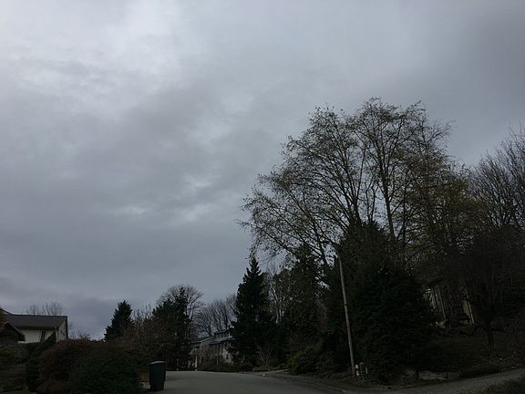 5th image of 14118 SE 51st Pl