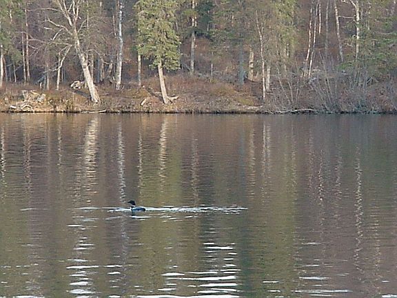 Lake shore line