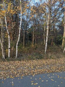 666-27 1/4 Ave, Chetek, WI, 54728