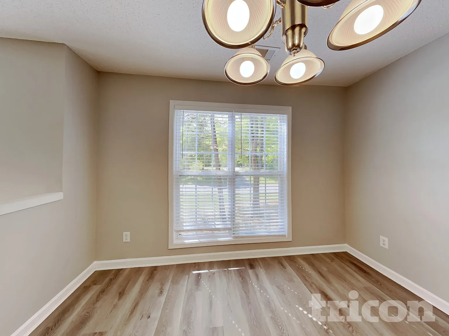 1012 Preserve Lane Bethlehem GA — Photo 4