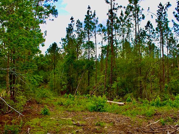 4th image of Kirklin Rd Lot Wp002