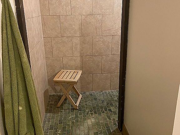 Master walk in shower