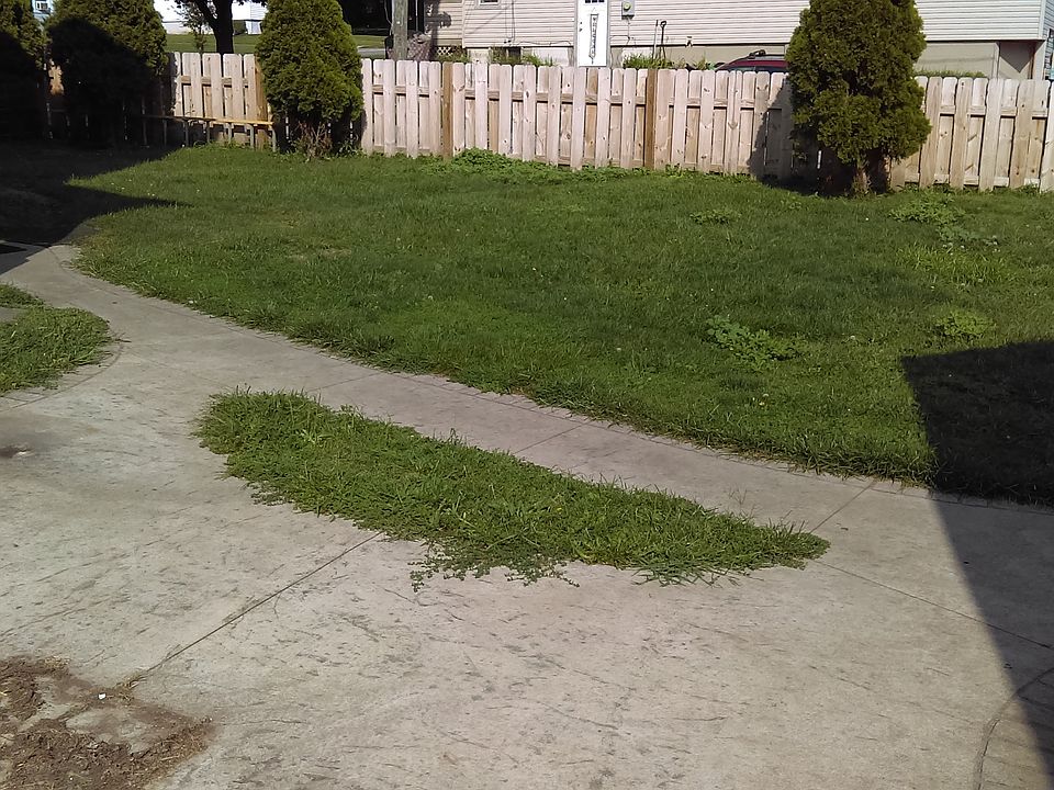 Fenced in back yard