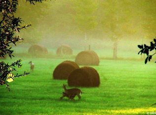 12400 Millhopper Rd, Gainesville, FL 32653