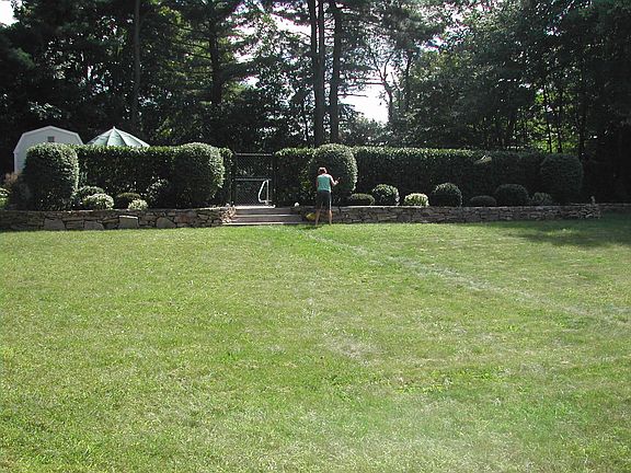 Back Yard and Set Back Pool
