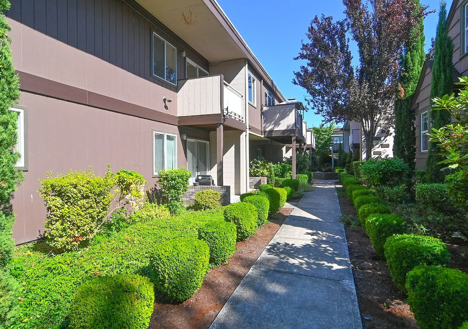 Royal Terrace — Photo 2