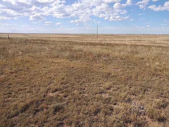4th image of 14625 County Road 2a