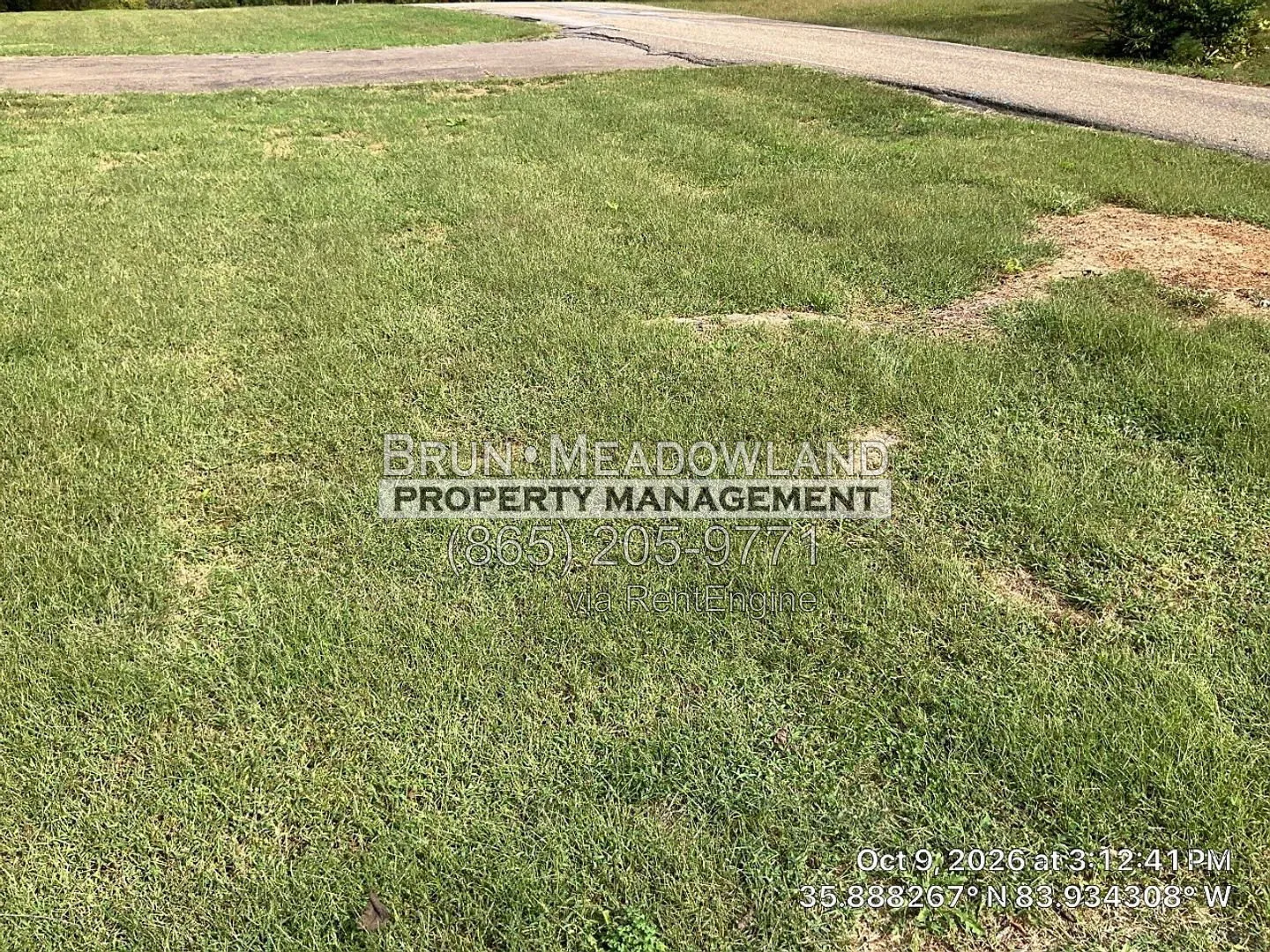 2 bed, 1.0 bath, 864 sqft, $1,195 — Photo 4