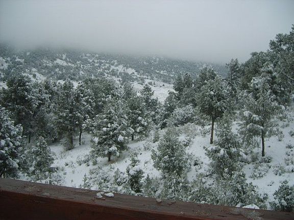View from Deck