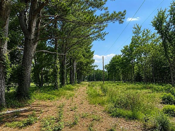 4th image of 1425 Firefly Ln Lot 3