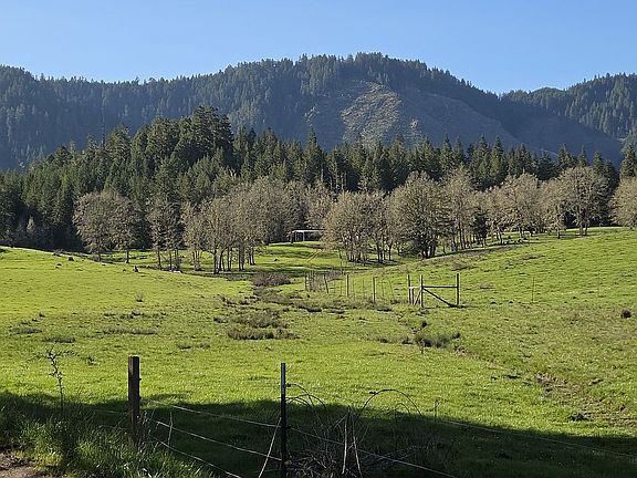 2nd image of 3920 Upper Camas Rd