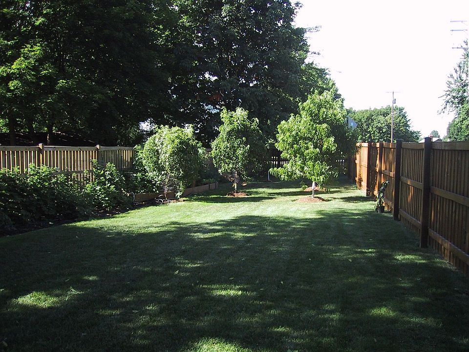back yard