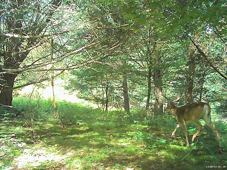 1st image of L5.12 N Harpersfield Road