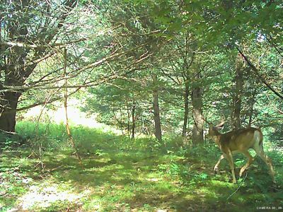 L5.12 N Harpersfield Road, Jefferson, NY, 12093