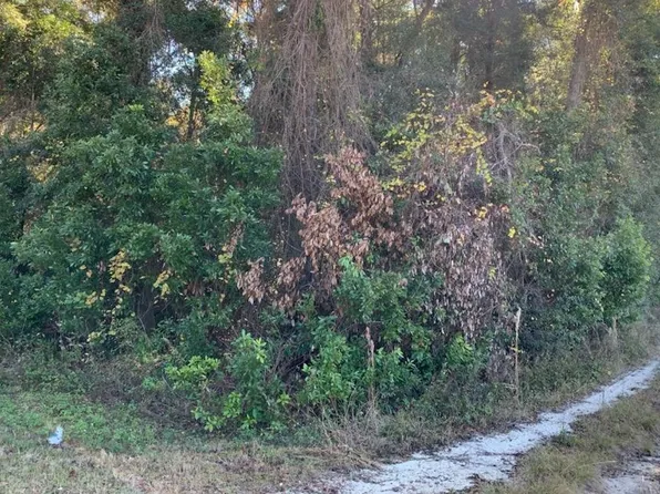 0 284th St, Branford, FL 32008