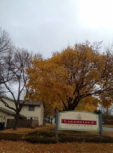 Lakebridge Townhomes