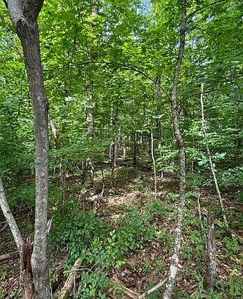 3rd image of 0 Geren Subdivision Ln