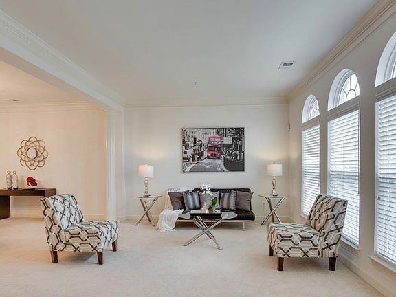 Living Room - Lots of Natural Light
