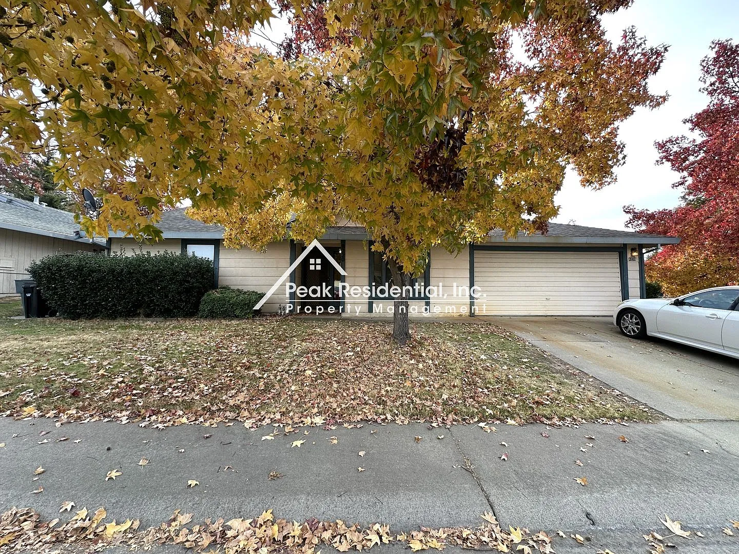 8220 Sanderson Ct photo 1