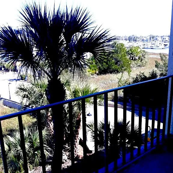1 Marina Dr #303B — Photo 4
