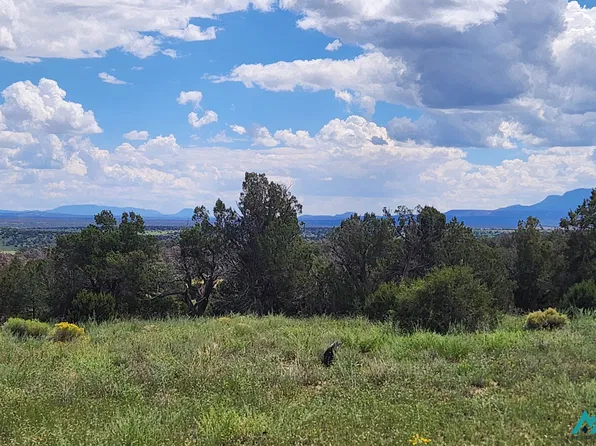 Kemo Sabe Pass Rd, Quemado, NM 87829