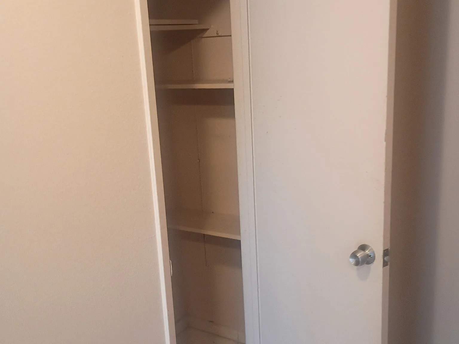 3 bed, 1215 sqft, $2,000 — Photo 3