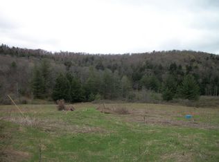 296 Junction Rd, Bainbridge, NY 13733