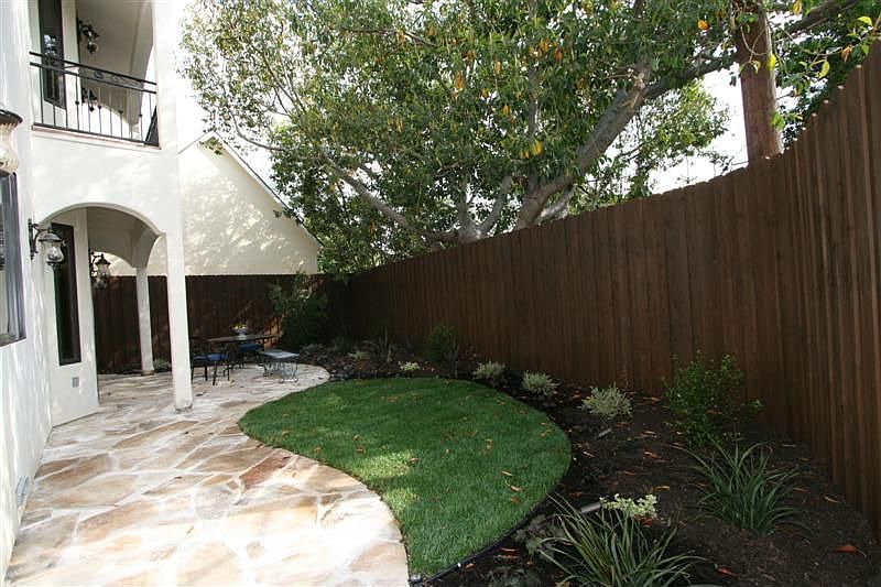 Backyard (a)