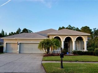 14603 Coral Berry Dr, Tampa, FL 33626