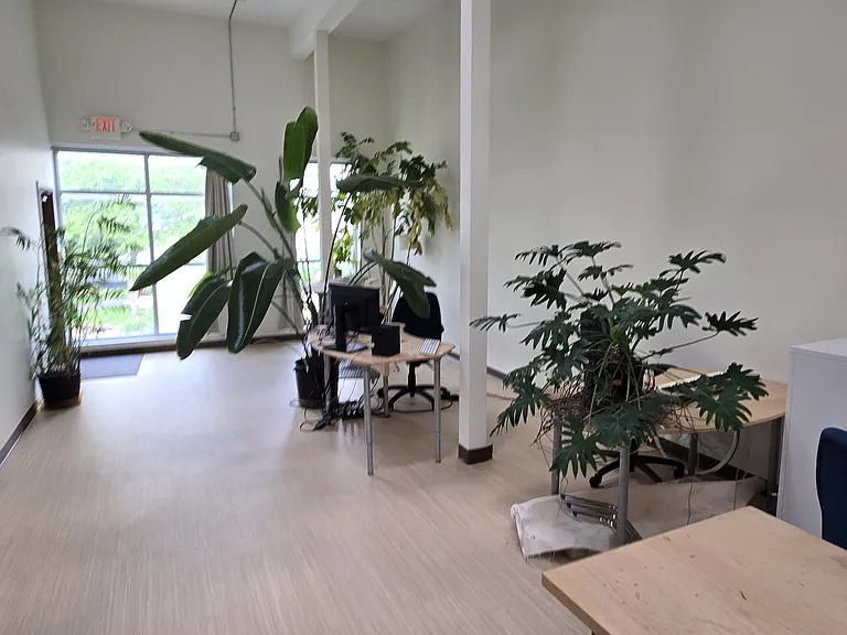 425 Cedar Ave #2 — Photo 9