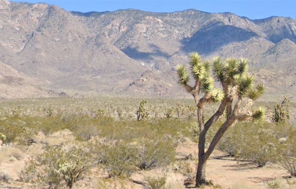 1st image of 5 ACRES W PAIUTE Drive