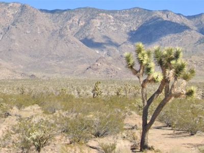 W Paiute Dr, Meadview, AZ, 86444