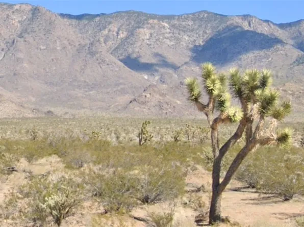 W Paiute Dr, Meadview, AZ 86444