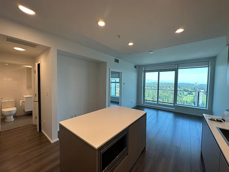 3809 Evergreen Pl #4503 — Photo 48