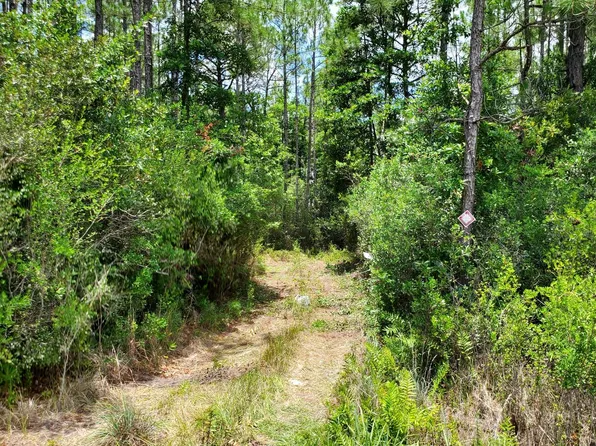0 NE Country Kitchen Rd, Madison, FL 32340