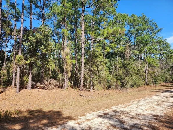 13055 SW 75th St #4, Dunnellon, FL 34432