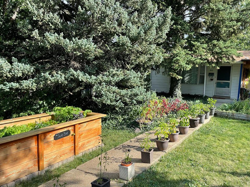 Front yard. Very shaded