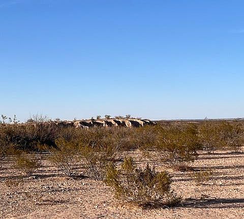 4th image of Fort Hancock