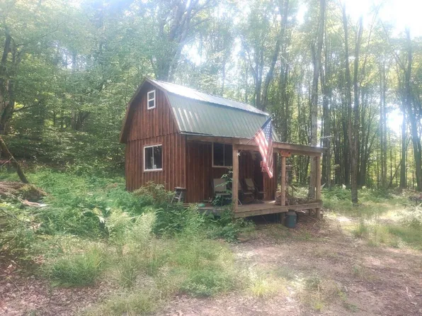 234 Campbell Estates Rd, Franklin, NY 13775