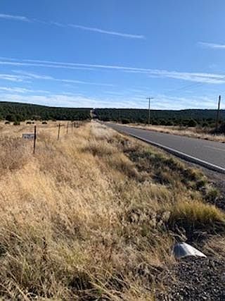 2nd image of 0 Highway 217