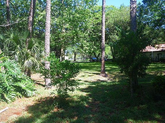 4th image of 66 Phoenetia Dr