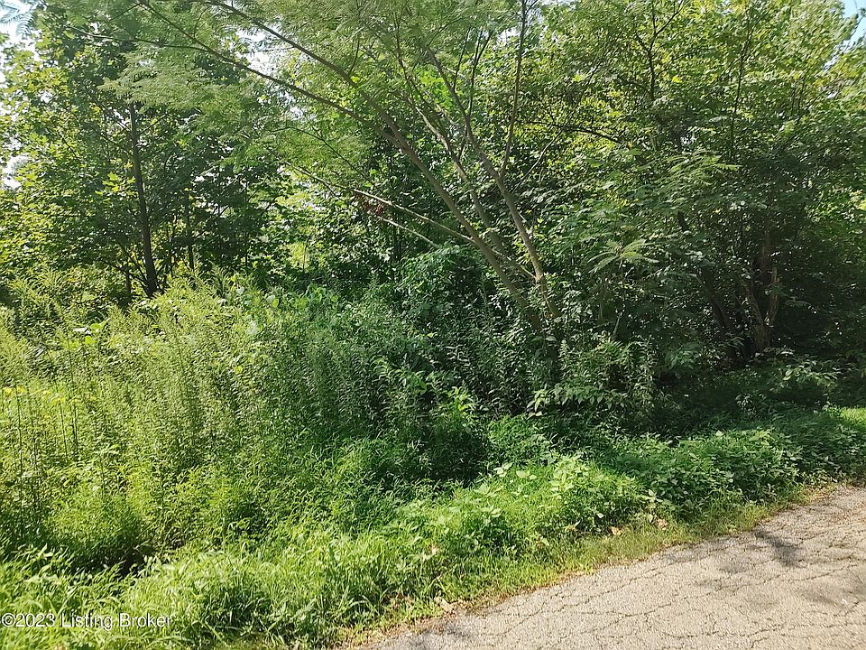 2nd image of 567 Hilltop Rd
