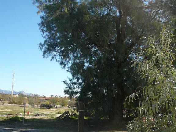5th image of 4380 N Mainard Dr