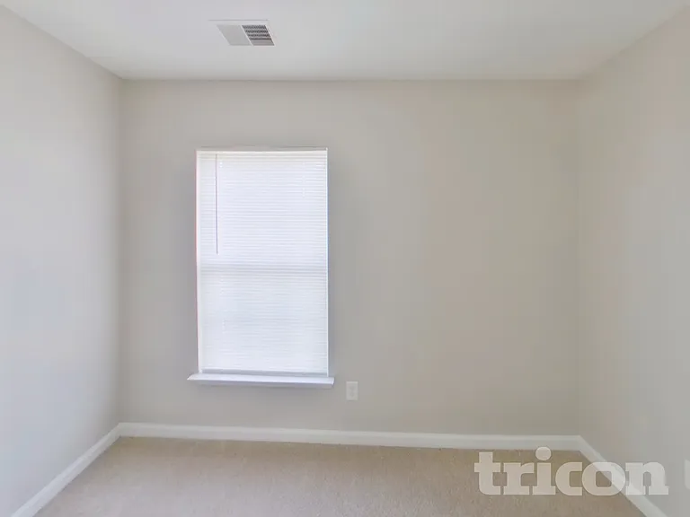 3 Wild Iris Ct — Photo 14