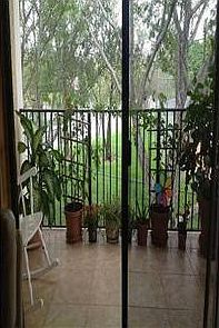 1st image of 400 Palm Cir W APT 208
